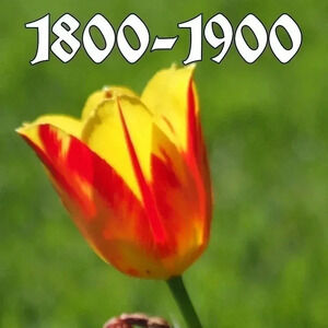 We have 1800-1899